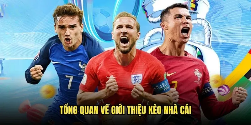 Tổng quan về giới thiệu kèo nhà cái
